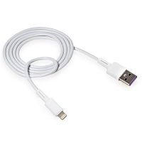 USB для IP Lighting "XO" NB-Q166, 5А (белый)