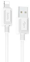 USB для IP Lighting "HOCO" X73 1M (белый) 
